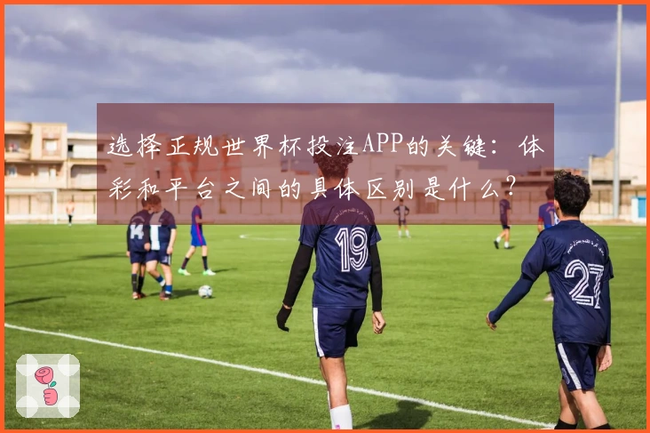选择正规世界杯投注APP的关键：体彩和平台之间的具体区别是什么？