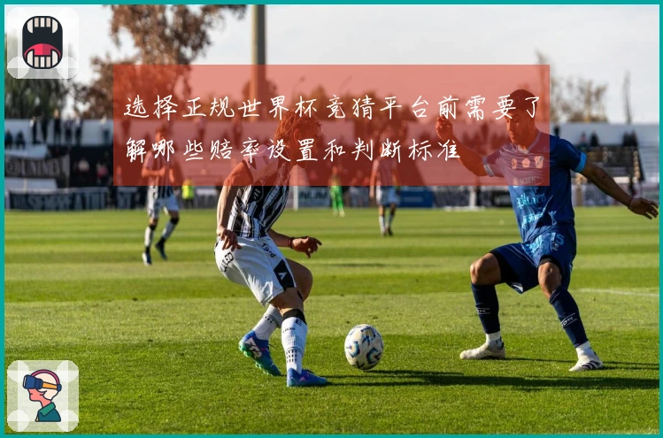 选择正规世界杯竞猜平台前需要了解哪些赔率设置和判断标准