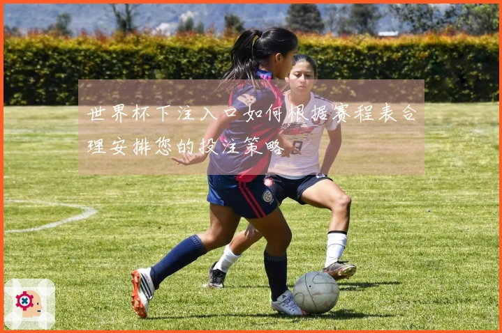世界杯下注入口如何根据赛程表合理安排您的投注策略