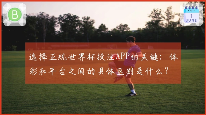 选择正规世界杯投注APP的关键：体彩和平台之间的具体区别是什么？
